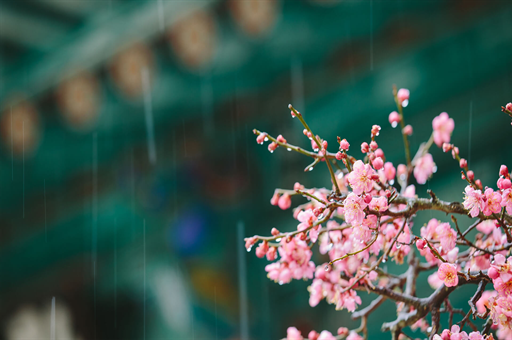 春节申遗成功现场，多国代表齐聚一堂热烈祝贺