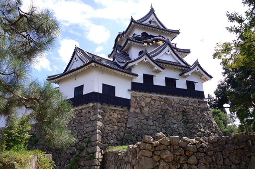 短期旅游意外险怎么买，全面指南与贴心建议